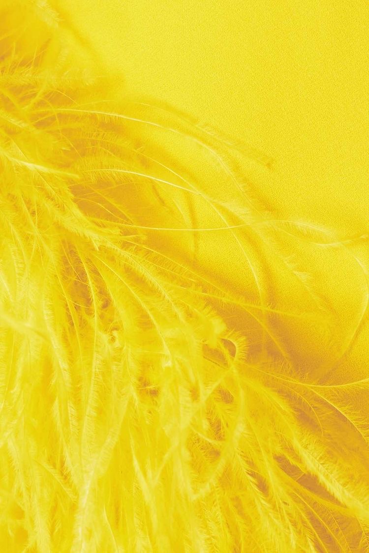 Yellow Feather Trim Midi Dress - Image 5